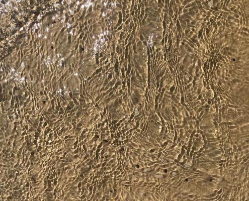Nature's Design