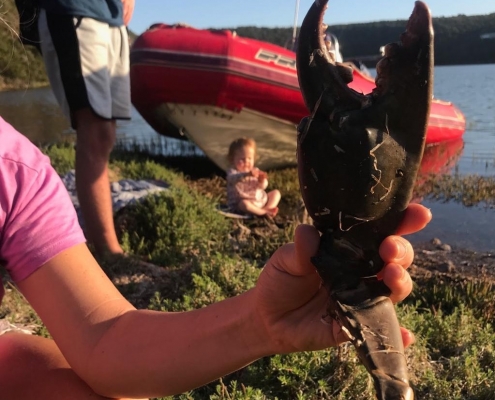 St Francis Bay Adventures